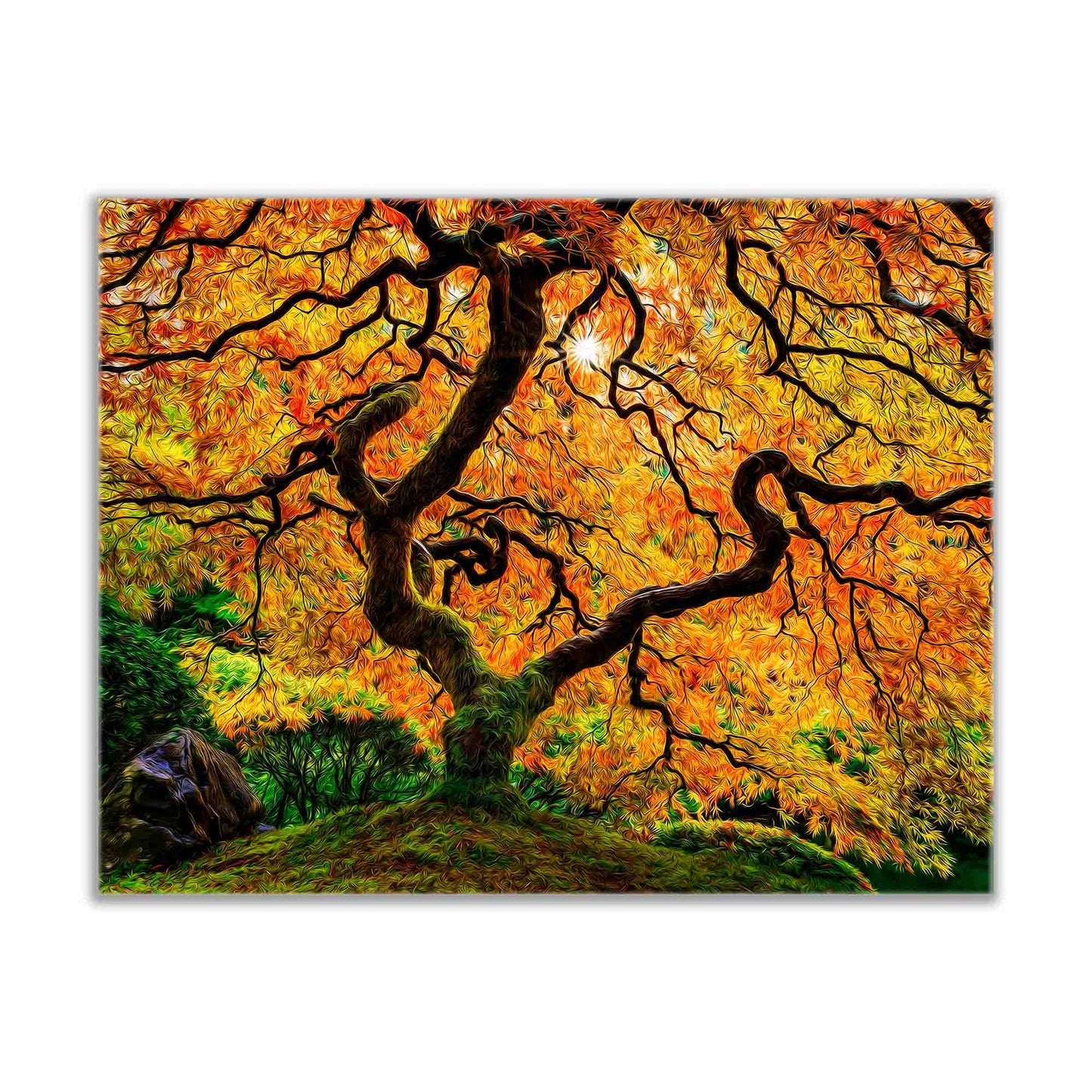 Canvas Print-Orange Tree-Nature Artwork-0