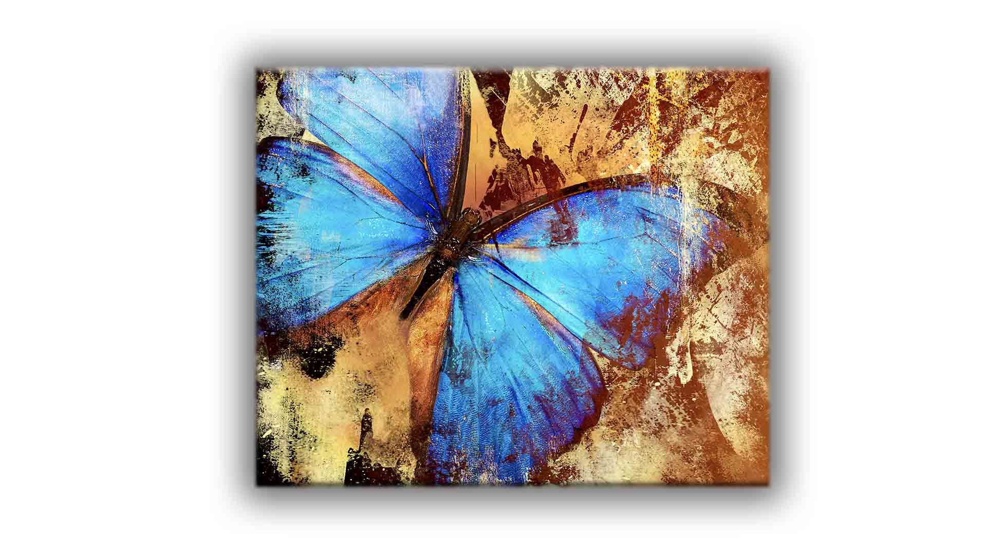 Canvas print-Butterfly-Wall art-0