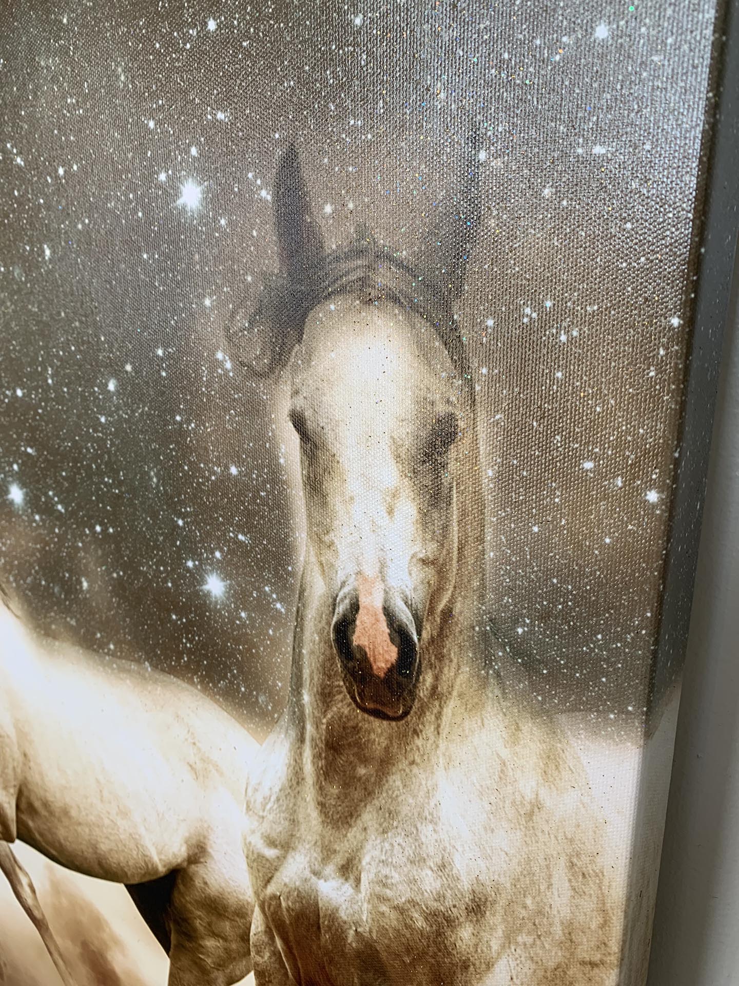 Genesis of a Unicorn Fine-Horse canvas-Wildlife Art-RGB varnish-4