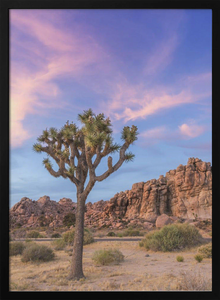 Wall art Joshua Tree Evening Atmosphere-2